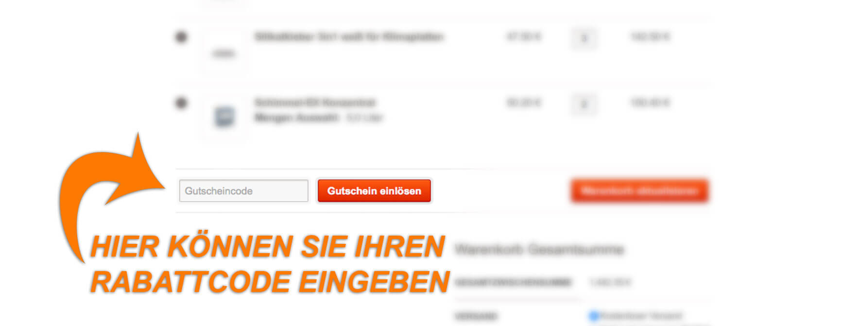 Anleitung: Wie Sie Klimaplatten Shop Gutscheine einlösen können